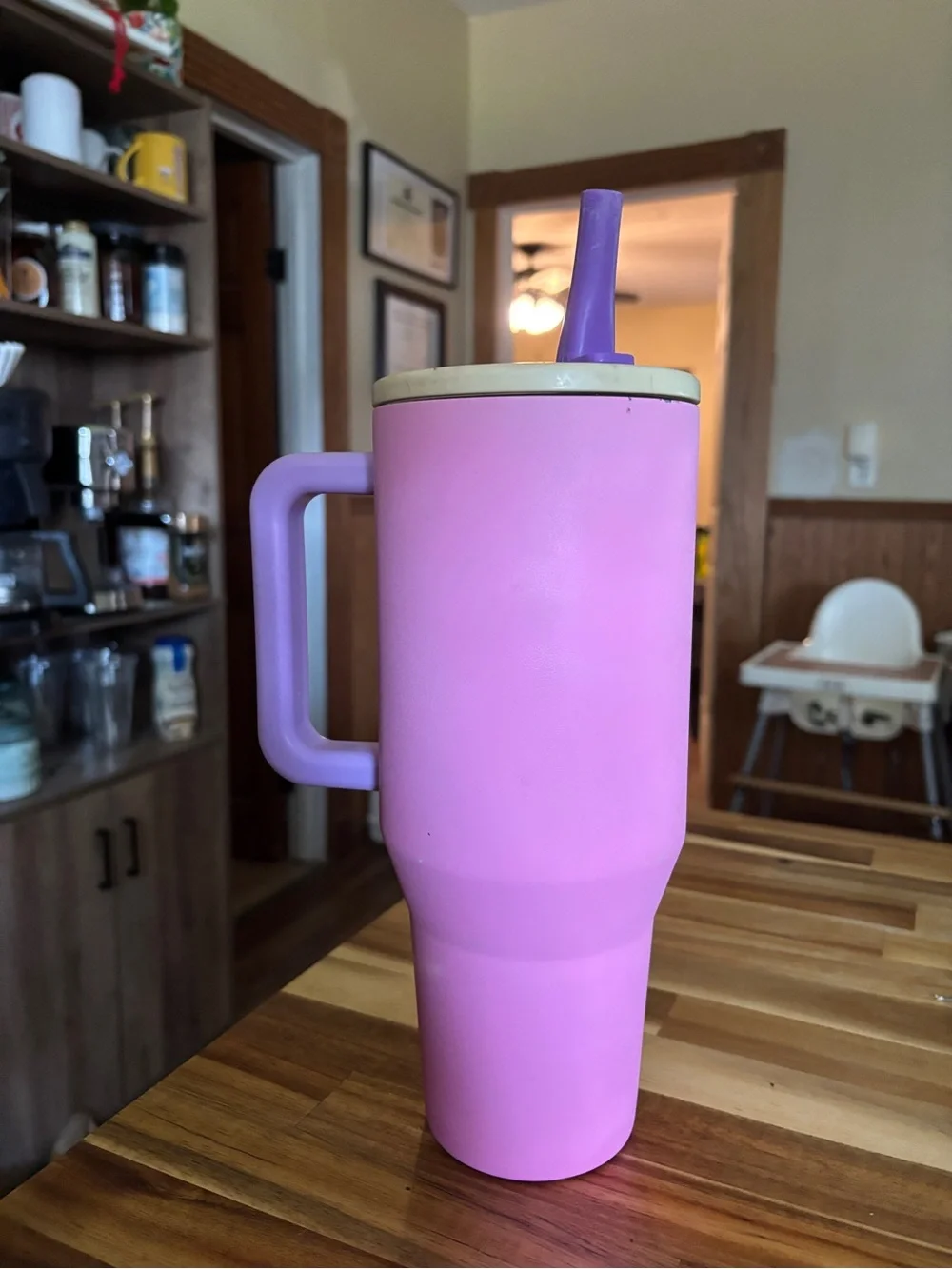 HydroJug Pink Travel Mug